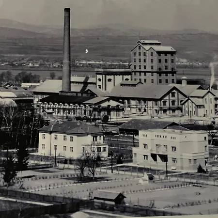Europa Hostel Ocna Mures